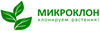 Микроклон