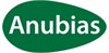 Anubias
