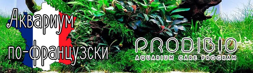 Товары для аквариума Prodibio (Франция)