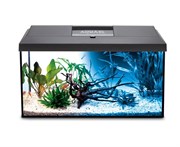 Пресноводные аквариумы