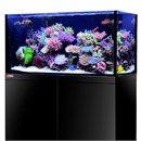 Морские аквариумы