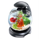 Круглые аквариумы