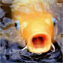 Корма для прудовых рыб